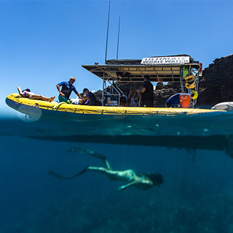 lanai snorkeling tours from maui
