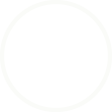haawaiian dolphin