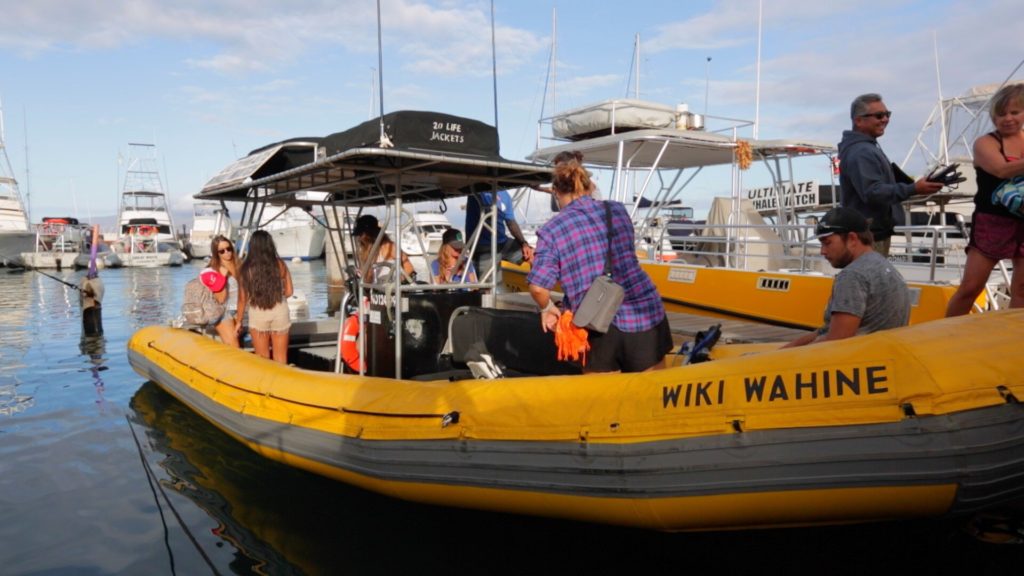 Wiki Wahine Private boat charter