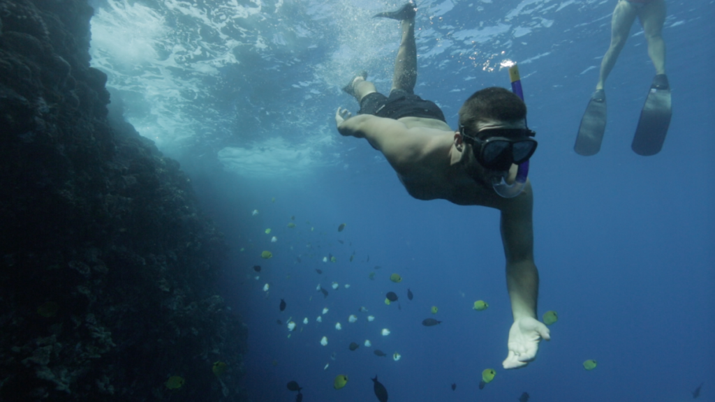 snorkeling with tropical fish